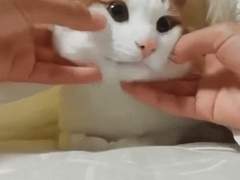 다시 태어난다면? 04