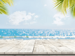 [센츄메타] 여름 한 낮