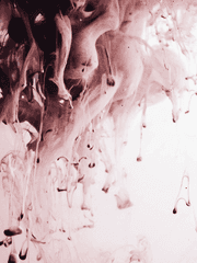 한반도이능연대 