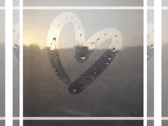 너와 함께한 마지막 인생