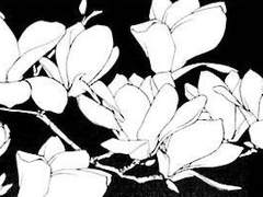 사랑아 사랑아 나를 두고 간 사랑아.