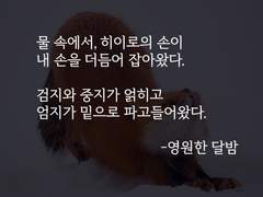 히이린_영원한 달밤