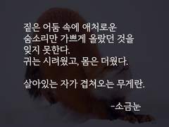 니키린_소금눈