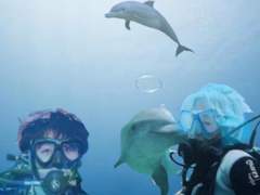 [국민] 호주에서 만난 국민 11화