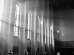 [Mayfly copration]Johannes Zeppelin(요하네스 체펠린)/24 year old/중앙 본부 2팀