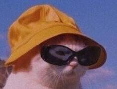 #02. 나는 어떤 인플루언서가 될 것인가. 놓치면 10년 고생하는 000 000 이야기 (1)