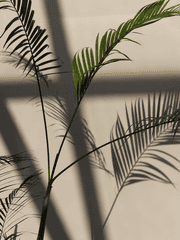 너와 손을 맞잡은 날[BL]