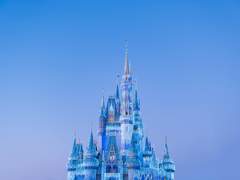 Wellcome to Wonderland!