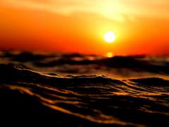 푸른 바닷속에 사는 붉은 괴물은 누구인가.