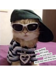 다시 태어난다면?