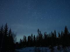 오마카세, 드림, 건조한 단문 샘플