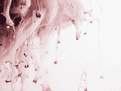 매화괴도의 은장도 -3