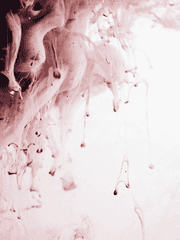 매화괴도의 은장도