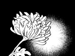 알 수 없는 감정에...