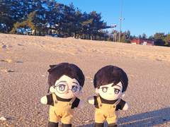 [금영영인] 커플솜스냅 🧸