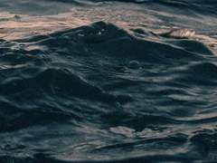 그러나 분명히 존재하며···