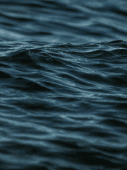 MIU404 중편 연성 : What if not