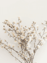 우리 결혼했어요