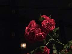 [슈룹] 그랬다면 만약에