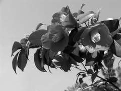 악법도 법이고 위선도 선이면....