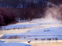 [라이트/여행] 더블크로스, 삿포로로 가지 않아도 괜찮으니까 (4p)