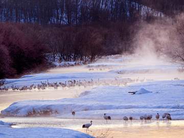 [라이트/여행] 더블크로스, 삿포로로 가지 않아도 괜찮으니까 (4p)