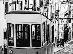 [해미쉬 O. 번 / 26]