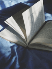 애니멀 어빌리티