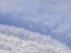 다시 만날 수 있을까.