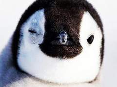 엔시티 막내 여주 ssul #HBD_to_Me