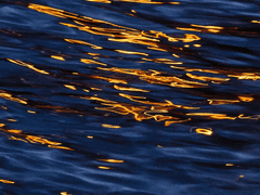 주홍빛 바다에 파도소리는 없다