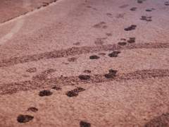 [라이트/이별] 현대 한국, 잔설과 같이 (4p)