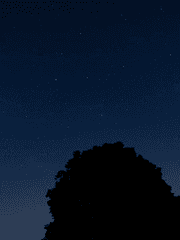 사신, 구원 받다.