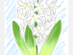 [히아신스] 02. 마지막 왕자 (2)