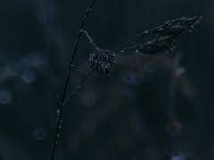 당신은 알잖아,