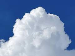 부식하는 청춘의 회답록