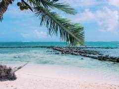 [조로산] last one day