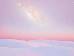 트위터 1차 백업