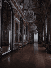 맹수 가문의 토끼 도련님