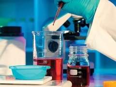 Bioanalytical Testing Services Market Global Outlook 202-2027