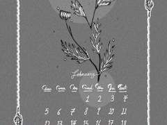 2023.February.캐모마일