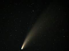 글 커미션 공지 및 안내