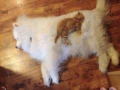 다시 태어난다면? 05