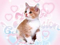 ˖˚˳⊹ 𝑯𝒘𝒂𝒚𝒆𝒐𝒏 𝑭𝒆𝒃𝒓𝒖𝒂𝒓𝒚 𝑶𝒓𝒅𝒆𝒓 𝑶𝒑𝒆𝒏 ⊹˳˚˖