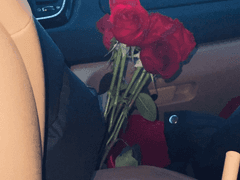 고의는 아니었어. [3]