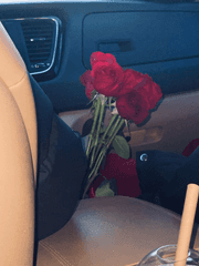 고의는 아니었어.