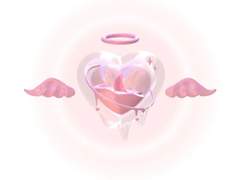 ˚₊·—̳͟͞͞♥