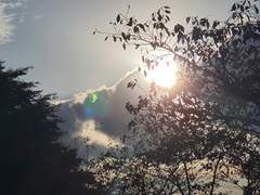 마법협회 사람의 소개서