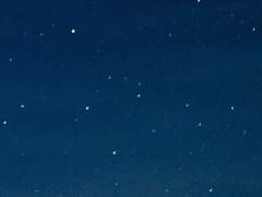 기억의 편린을 탐하여