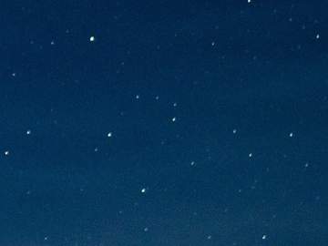 기억의 편린을 탐하여